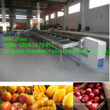 Apfel, Mango, Orange, Sortiermaschine / Sortiermaschine